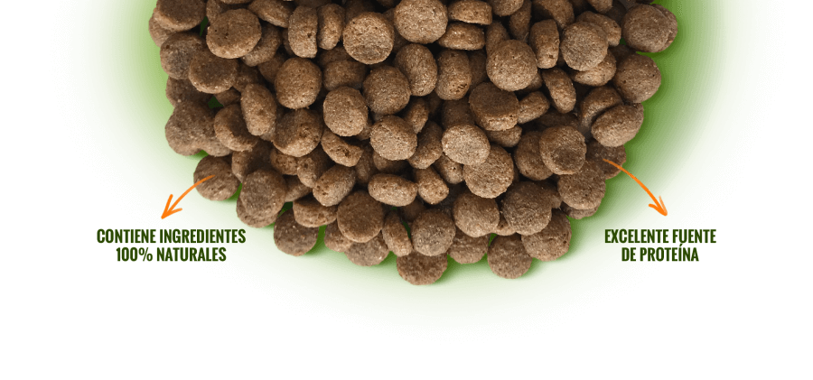 Alimento para Perro Nómade Adulto Razas Pequeñas 10 Kg