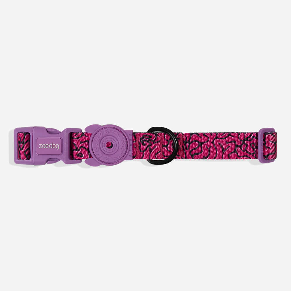 Collar para Perro Brain