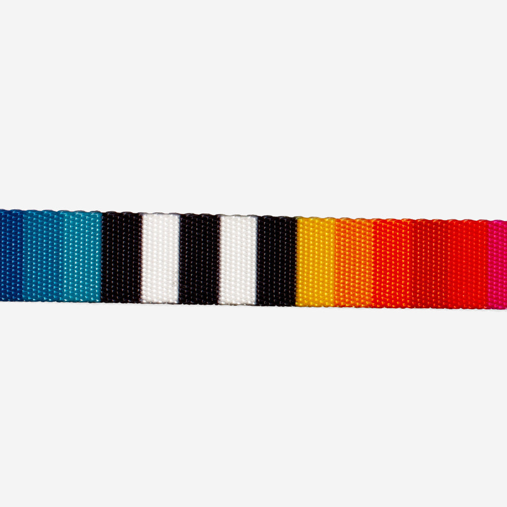 Collar para Gato Prisma Talla única
