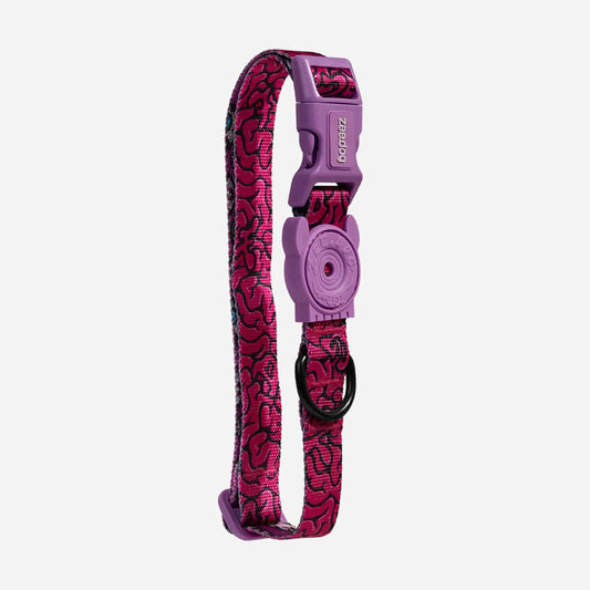 Collar para Perro Brain