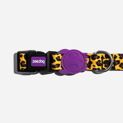 Collar para Perro Honey