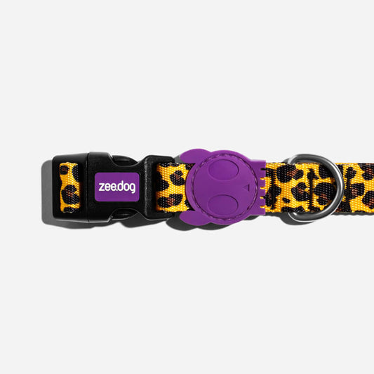 Collar para Perro Honey