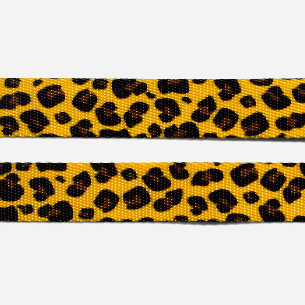 Collar para Perro Honey