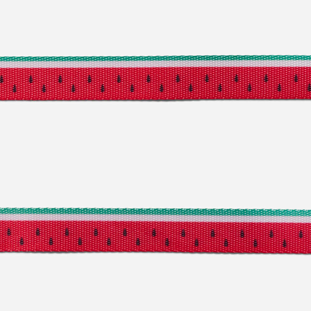 Collar para Perro Lola