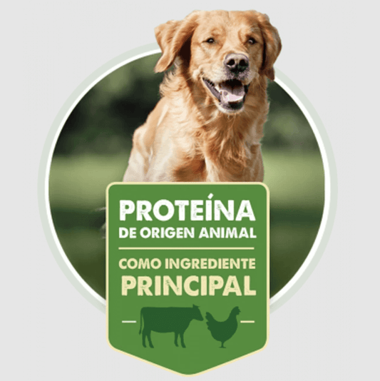 Alimento para Perro Nómade Adulto 20 Kg
