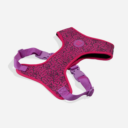 Arnés para Perro Ajustable Brain Air Mesh