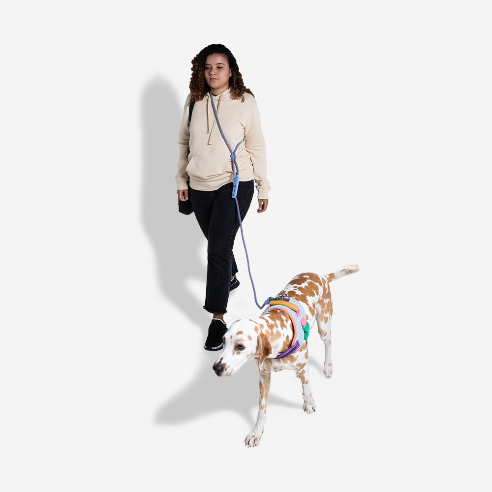 Correa para Perro Manos libres - Andromeda