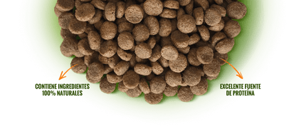 Alimento para Perro Nómade Adulto Razas Pequeñas 10 Kg