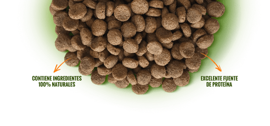 Alimento para Perro Nómade Adulto Razas Pequeñas 10 Kg